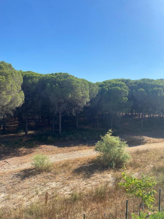 Studio cabine mer et pinède 26m2: 4pers, neuf, cosy La Grande-Motte Esterno foto